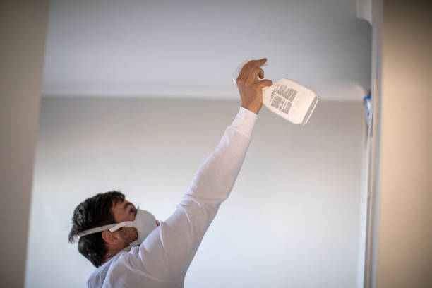 Office Mold Removal Services in Alliance, NE