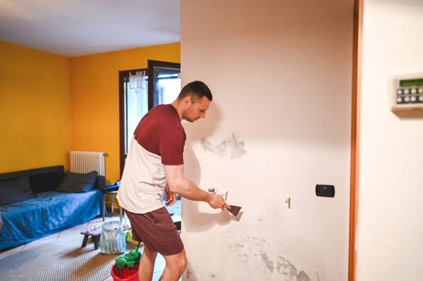 Best Best Mold Removal Companies  in Alliance, NE